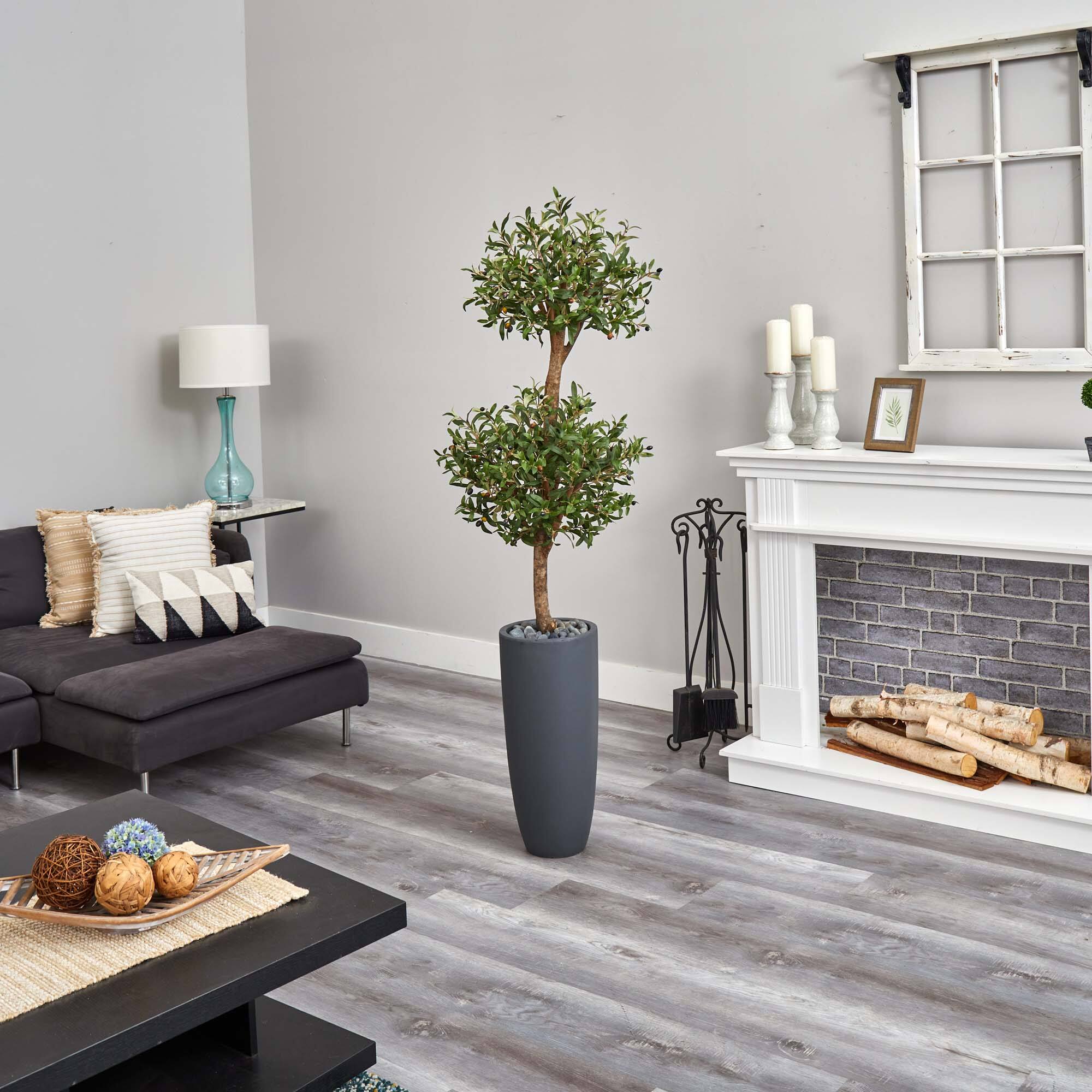 6ft. Double Olive Tree in Gray Planter